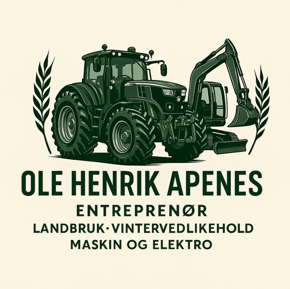 Ole Henrik Apenes